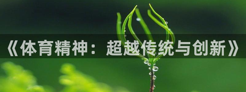 关键词：《体育精神：超越传统与创新》