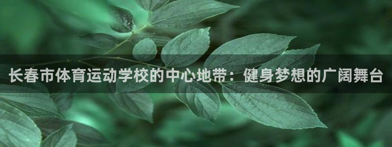 雷鸟体育ios官网入口