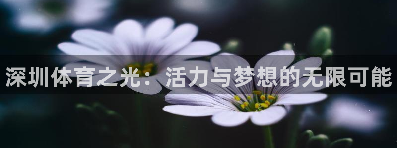雷鸟体育cba
