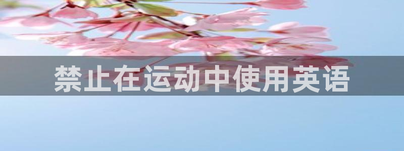 雷鸟体育官网入口：禁止在运动中使用英语