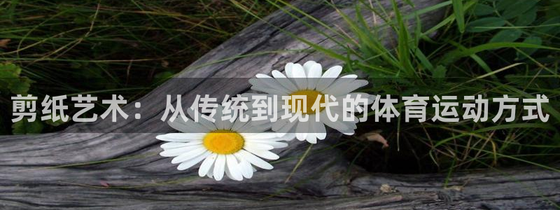 雷鸟体育苹果怎么下载：剪纸艺术：从传统到现代的体育运动方式