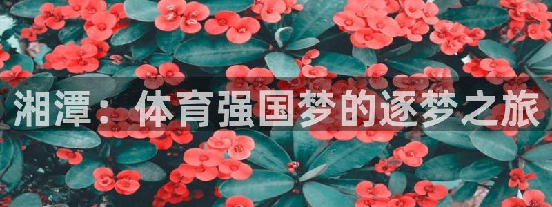 雷鸟体育app下载官网