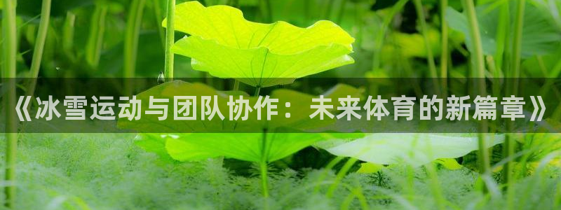 雷鸟体育APP下