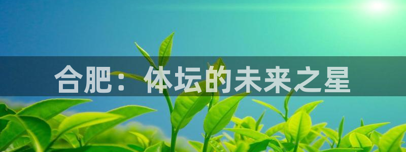 雷鸟体育app下载官网