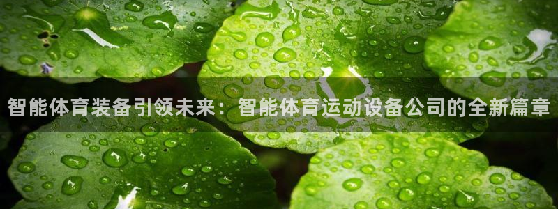 雷鸟体育