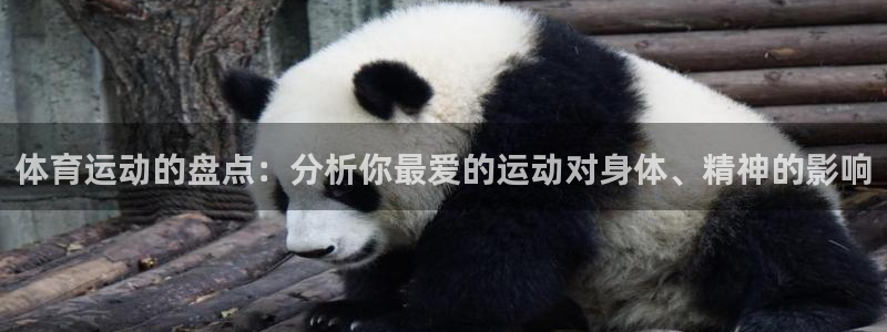雷鸟体育正版下载：体育运动的盘点：分析你最爱的运动对身体、精神的影响