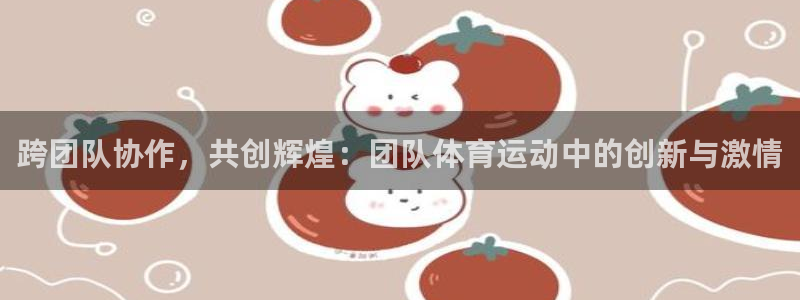 雷鸟体育app下载官网：跨团队协作，共创辉煌：团队体育运动中的创新与激情